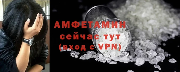 стаф Володарск
