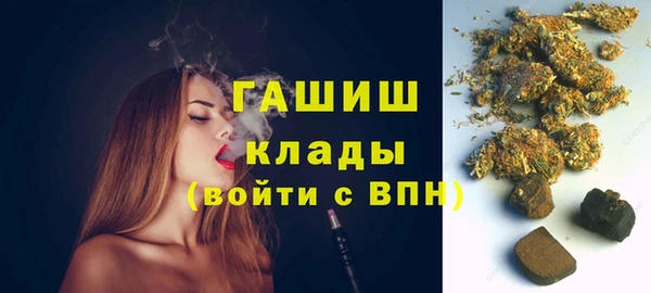 амф Бородино