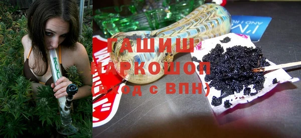 амф Бородино