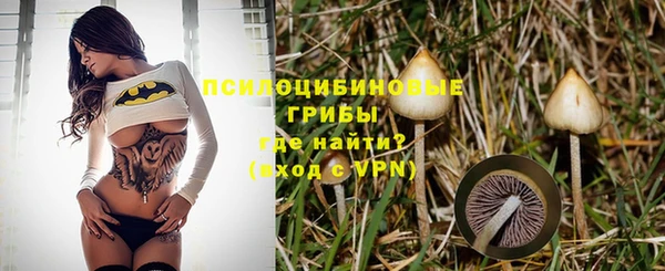 амф Бородино