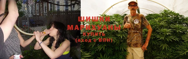 амф Бородино