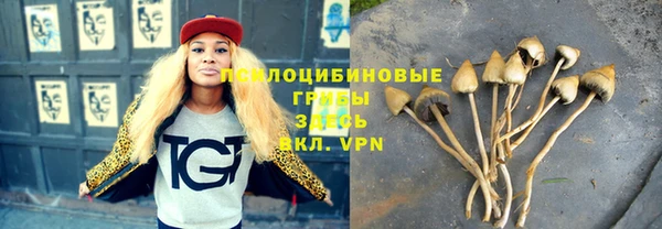 стаф Володарск