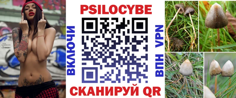 Галлюциногенные грибы Psilocybine cubensis  Дмитров 